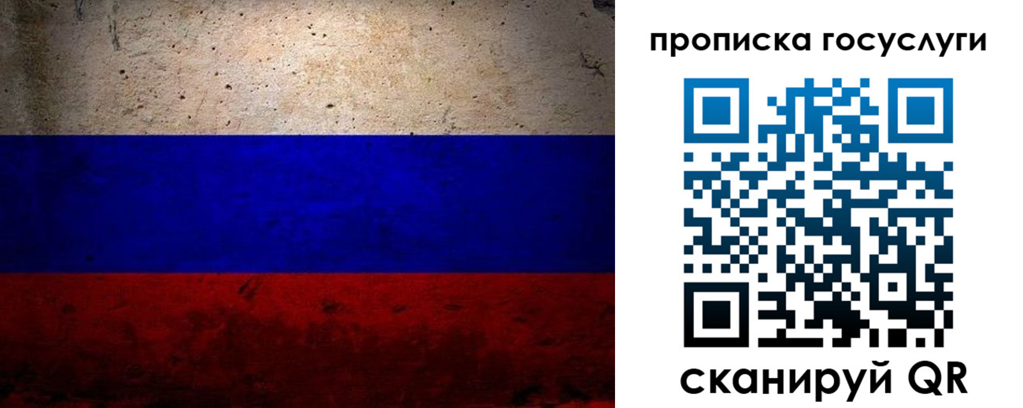 прописка иностранных граждан в Елизово
